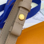 Louis Vuitton Wallet On Chain Ivy M82211 Gray